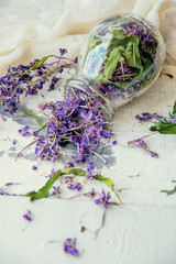 Traditional russian green herbal tea from Fireweed leaves: Koporye Tea, Russian Tea or Ivan Chai.