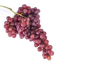 bunch of red grapes isolate
