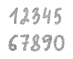 Vector hand drawn numbers. Floral elements for your design.