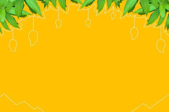 Creative layout with Mango Leaf and dot line frame on nature background concept.