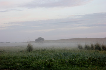 Fototapeta na wymiar fog, mystery,morning, landscape