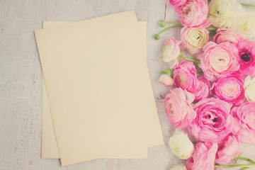 Pink and white ranunculus flowers on aged white wooden background with copy space on aged paper notes, retro toned