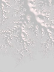 The white Plaster in the form of a Fractal