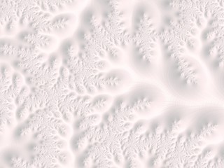 The white Plaster in the form of a Fractal