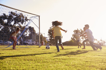 Girl defending goal at football game with family and friends © Monkey Business