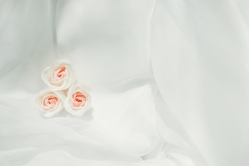 Light wedding background with roses