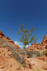 Valley Of Fire State Park