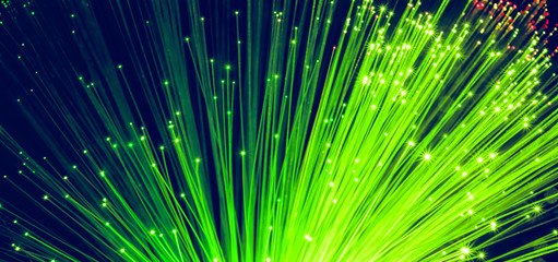 Green fiber optical network cable, close view