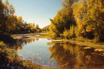 Obraz premium Panoramic landscape with river and autumn forest on the high Bank.