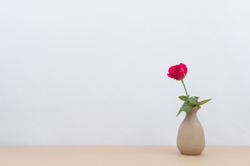 Indoor plant on wooden table and white wall