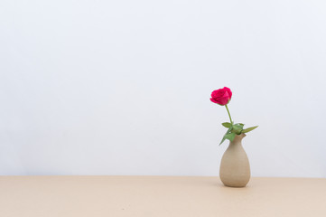 Indoor plant on wooden table and white wall