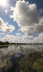 &Uuml;berschwemmung nach Dauerregen im Hochsommer 2017 am H&ouml;rstegraben im brandenburgischen Rhinluch