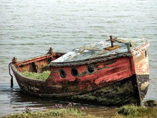 old wooden wrecked boat with faded red and black paint on the edge of a riverbank with rotten planks and vegetation