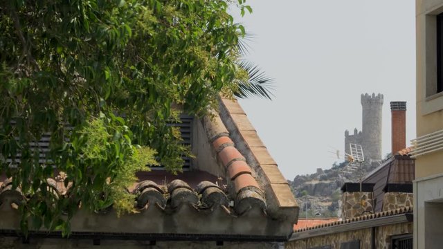 Roof with trees and a medieval tower in the background
