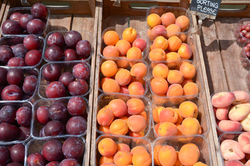 Punnets of apricots plums and peaches outside greengrocers