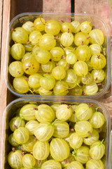 Punnets of gooseberries for sale at greengrocers