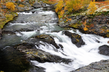 Wildfluss Driva im Herbst, Dovrefjell, Norwegen