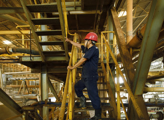 Engineer point out factory mining.