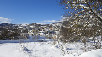 Fototapeta na wymiar small town in the winter snow