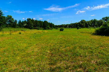 Wide green meadow