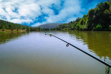 Fototapeta premium Fisherman Bird on the background Lake Mountain Forest