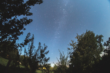 Obraz na płótnie Canvas Starry sky in the summer evening over the village.