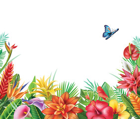 Obrazy  Ramka z tropikalnych kwiatów