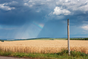 Fototapeta na wymiar Summertime landscape - wheat field next to the road and wooden pillar against the rainbow background