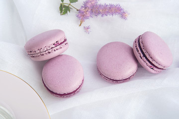 Purple macarons with BlackBerry. French delicate dessert for Breakfast