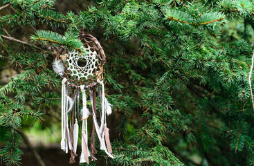 handmade dream catcher hanging on a tree, outdoors. Yoga style