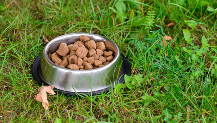 dog food in metal bowl in grass, outdoors