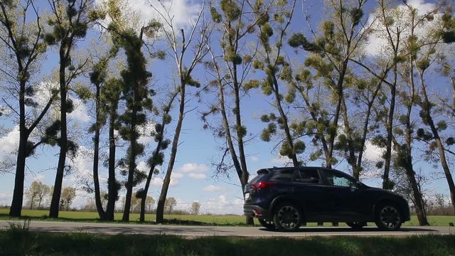 Side view of a car driving through scenic road with trees and blue sky with clouds in the background.