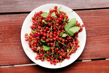 Berries red currant in a white plate on a wooden table