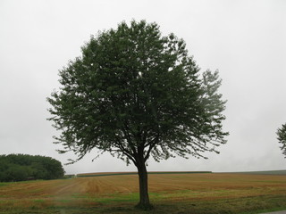 balade