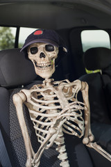skeleton passenger  