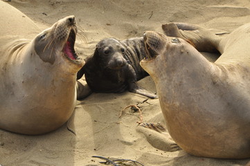 What you you yelling at?