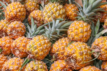 Ananas