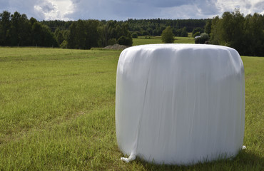 Single Ensilage conservated in plastic standing on a green field