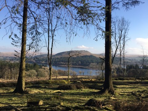 Sheepstor At Burrator Reservoir