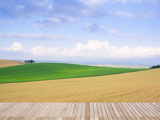 Landscape of grass and rice field on hill in Biei, Hokkaido with wood plank