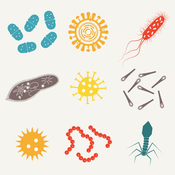 Virus and bacteria icon set. Viruses and bacterias isolated on white background. Colorful vector illustration.