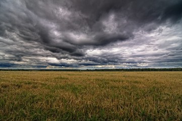 Autumnal field and sky