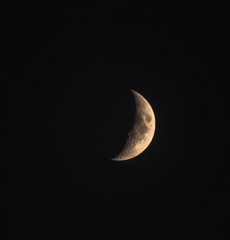 Obraz na płótnie Canvas Luna, moon