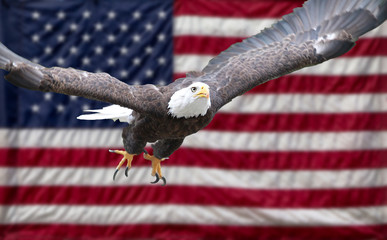 Aigle américain avec drapeau