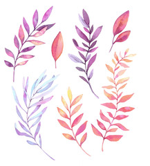 Hand drawn watercolor illustrations. Botanical clipart. Set of purple leaves, herbs and branches. Floral Design elements. Perfect for wedding invitations, greeting cards, blogs, posters and more