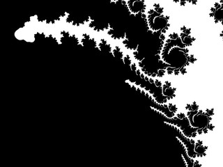 Monochrome, black and white graphics.