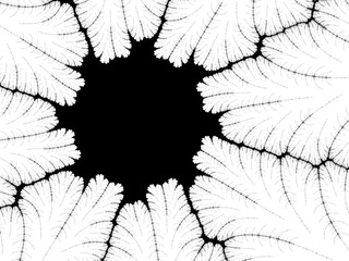 Monochrome, black and white graphics.