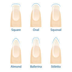 Nail manicure, set of nails shapes - oval, square, almond, stiletto, ballerina squoval Vector © DruZhi Art