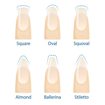 Nail manicure, set of nails shapes - oval, square, almond, stiletto, ballerina squoval Vector