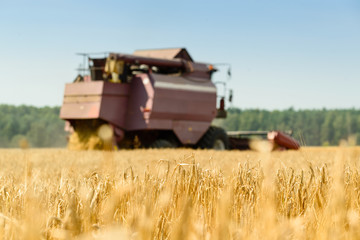 harvester machine working in field. Agriculture machine harvesting golden ripe wheat in field. Agriculture and farming concept, shallow dof
